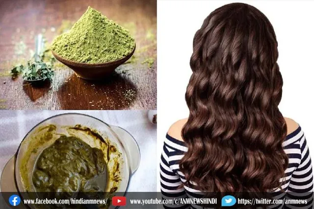मेहंदी में यह चीज मिलाकर बालों पर लगाएं