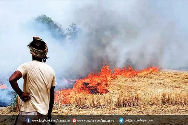 ये पाउडर करेगा पराली का निस्तारण