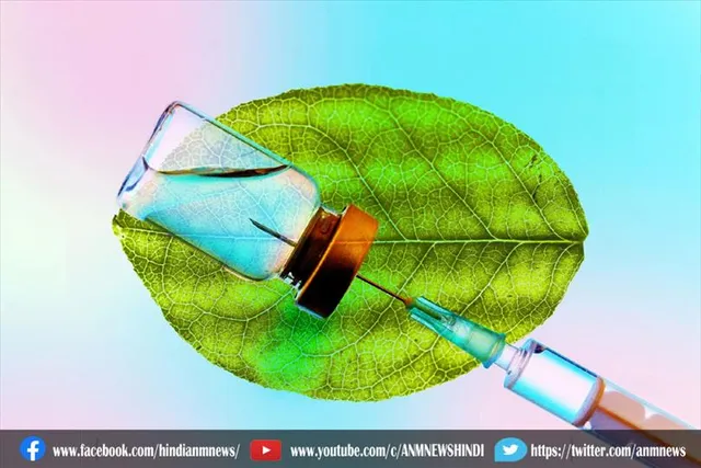 वनस्पति बेस्ड वैक्सीन
