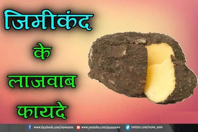 जिमीकंद के फायदे