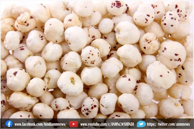 सर्दियों के मौसम में मखाना खाते समय इन बातों का रखें खास ख्याल