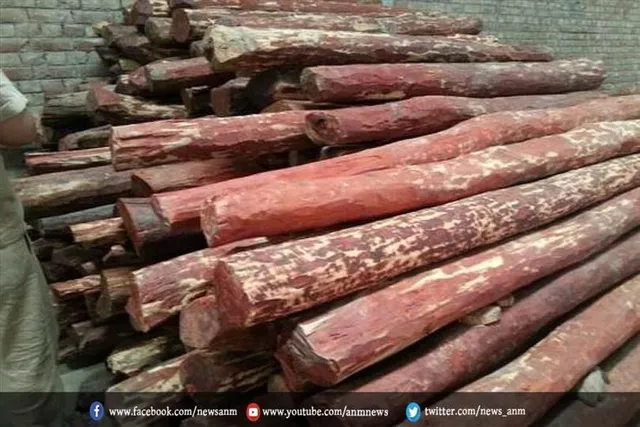 43 किलो चंदन की लकड़ी