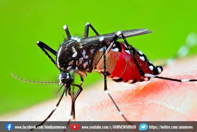 पिछले 24 घंटे में डेंगू के 150 नए मामले