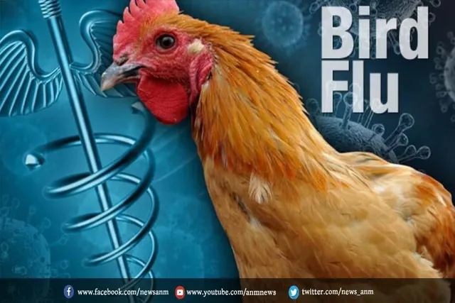 बर्ड फ्लू को लेकर अलर्ट जारी