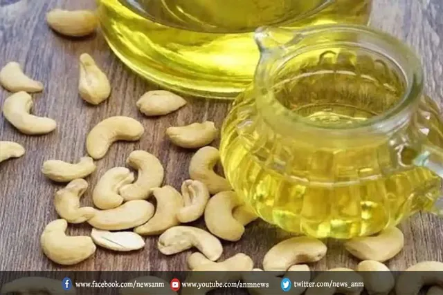 काजू के तेल का सेवन सेहत को देता है ये चौंकाने वाले हेल्थ बेनिफिट्स