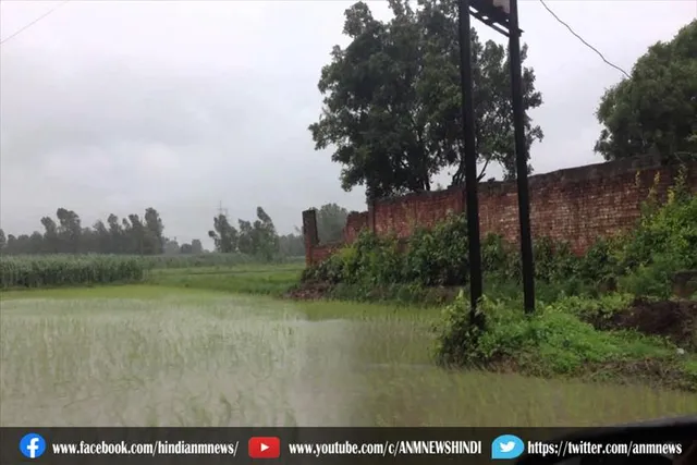 बारिश से भरतपुर में जलभराव