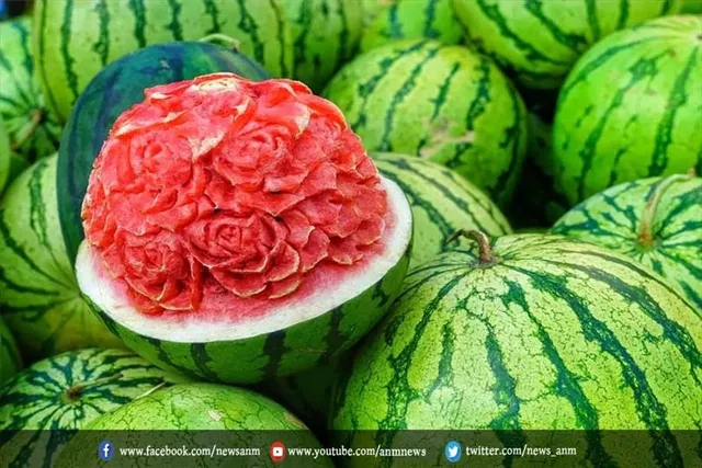 तरबूज एक नेगेटिव कैलोरी वाला फल है