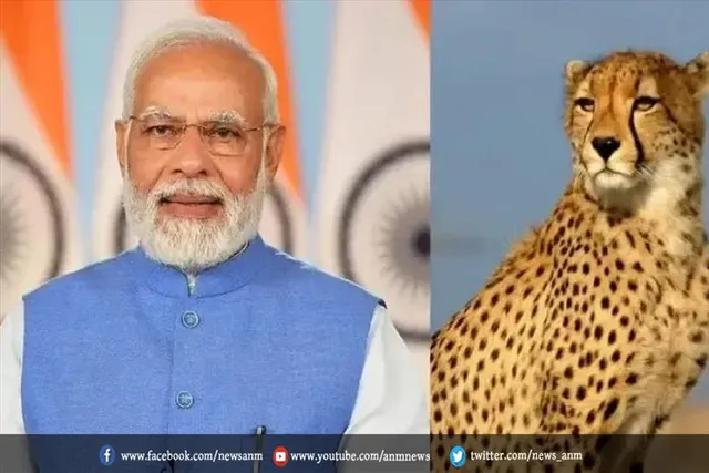 जो प्रतियोगिता जीतेगा उसे चीतों को देखने का पहला अवसर मिल सकता है