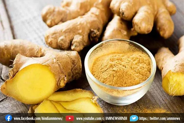 हेल्थ के लिए काफी ज्यादा फायदेमंद है अदरक