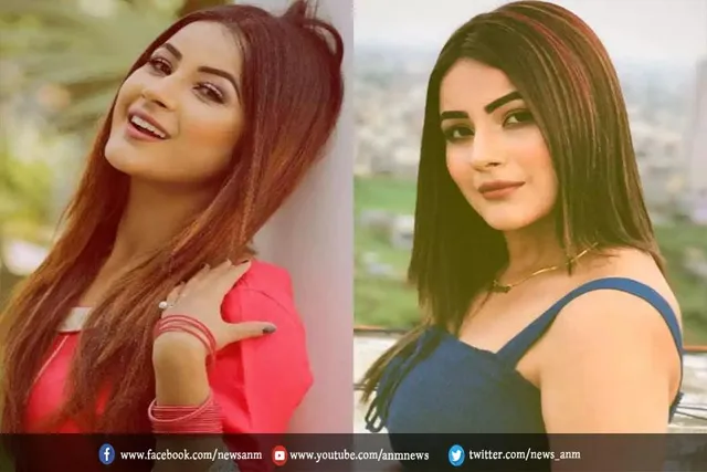 बॉलीवुड एक्ट्रेस ने दिल खोलकर किया शहनाज गिल की तारीफ