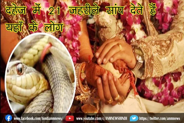 दहेज में 21 जहरीले सांप देते हैं यहाँ के लोग