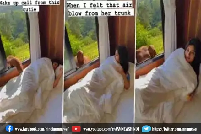 सो रही महिला को जगाया हाथी ने