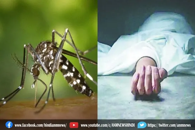 दिल्ली के एनसीआर में डेंगू का कहर जारी
