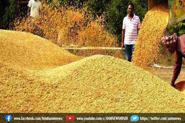 15 दिसंबर से शुरू होगी झारखंड में धान की खरीद