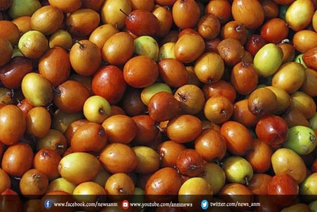 खट्टे-मीठे बेर के फायदे
