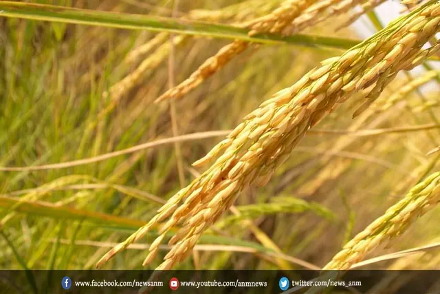 अंतरिक्ष यात्रियों ने हासिल किया एक बड़ा कामयाबी