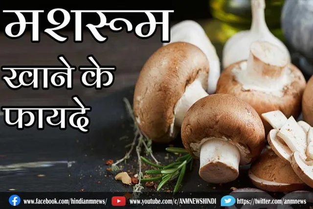 मशरूम खाने के फायदे