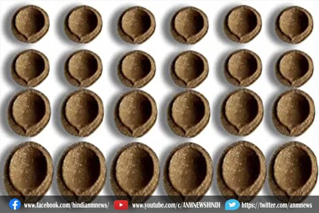 गोबर से 100 करोड़ दिये बनाने का रिकॉर्ड
