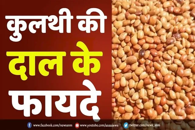 जानिए कुलथी दाल के फायदों के बारे में