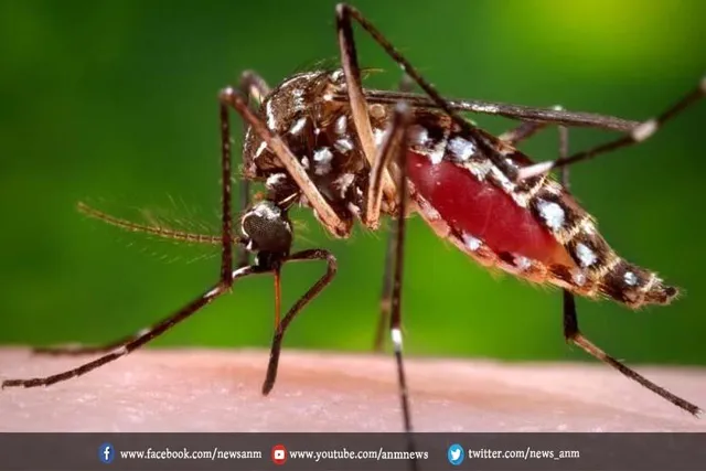 डेंगू से हुई बच्चे की मौत