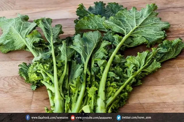 शलजम के पत्तों को डाइट में शामिल करने से आपको मिलेंगे कई फायदे