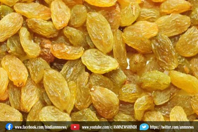 कई फायदों से भरपूर होता है किशमिश
