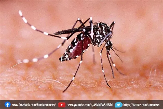 इस बार बंगाल में जीका वायरस को लेकर चेतावनी जारी