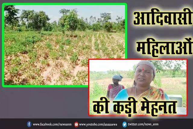 आदिवासी महिलाओं की कड़ी मेहनत