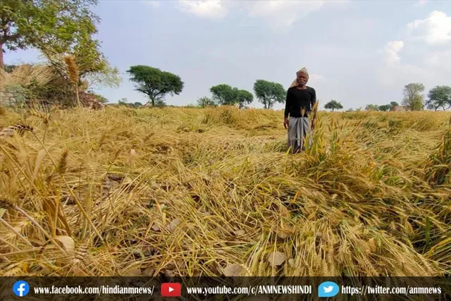 बेमौसम बारिश ने किसानों की चिंता बढ़ा दी