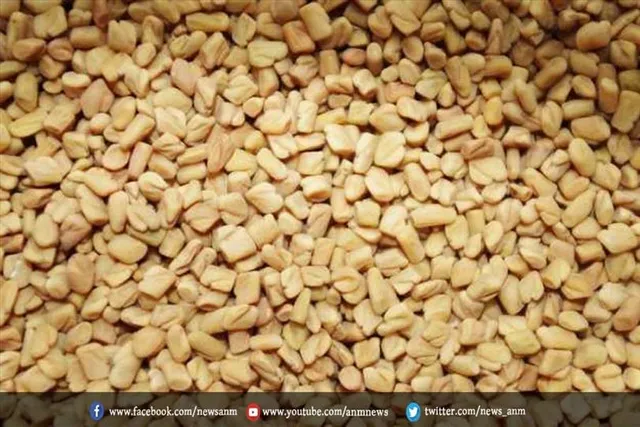 सुबह खाली पेट करें मेथी के पानी का सेवन, मिलेंगे कई चमत्कारी फायदे