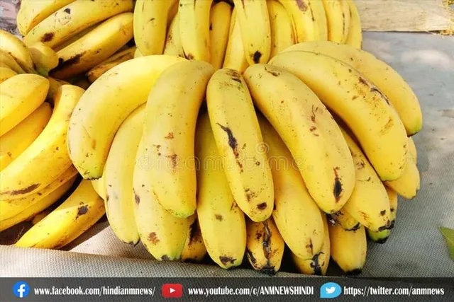 यूरिक एसिड को कंट्रोल करने के लिए इन फूड्स को करें अपनी डाइट में शामिल