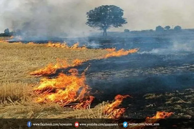 पराली जलाने पर दिल्ली के उपराज्यपाल ने पंजाब सीएम को लिखा पत्र