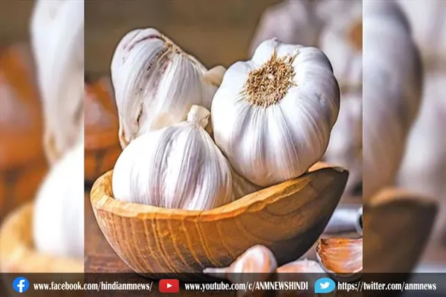लहसुन का ये टोटका बदल सकता है आपकी किस्मत