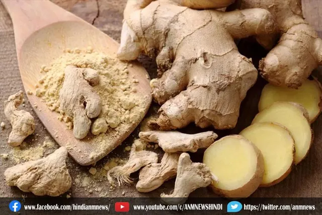 जानिए अदरक का उपयोग