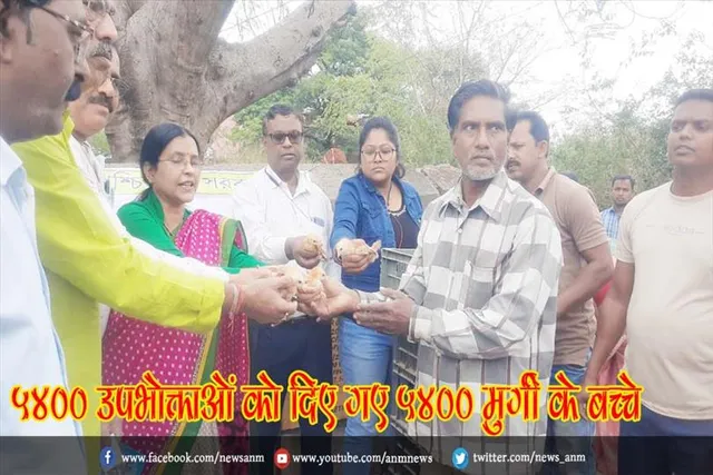 540 उपभोक्ताओं को दिए गए 5400 मुर्गी के बच्चे