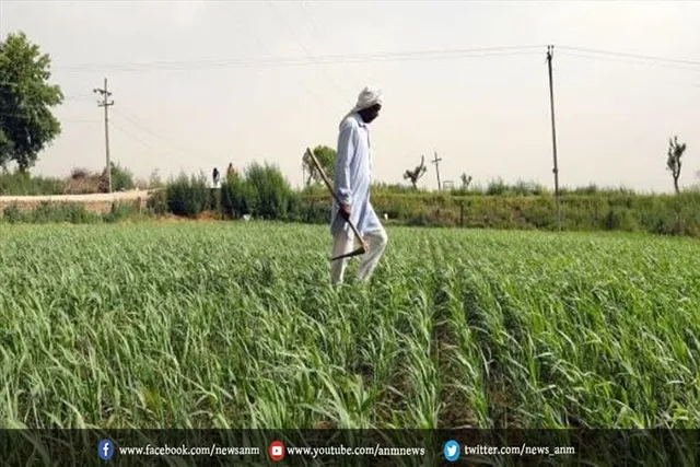 किसान बजट: सीधे किसानों के खाते में MSP का भुगतान