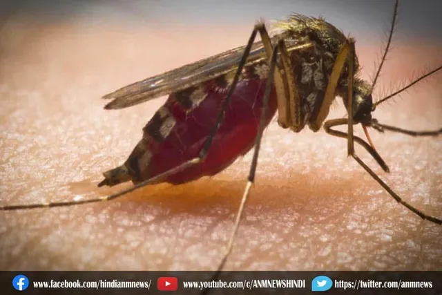 डेंगू में बारिश की कमी पर चकाचौंध फैला