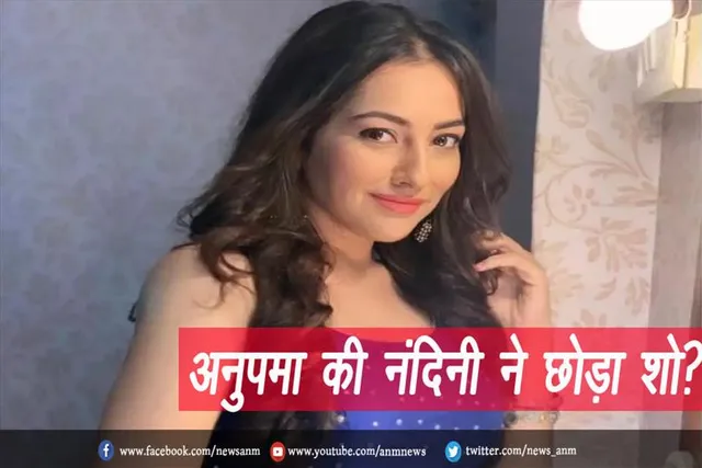 अनुपमा की नंदिनी ने छोड़ा शो?