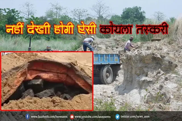 नहीं देखी होगी ऐसी कोयला तस्करी