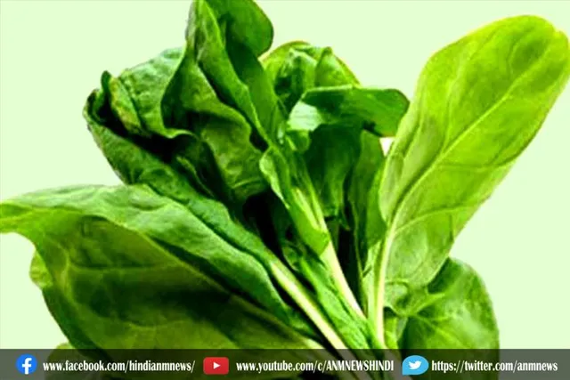 जानिए सर्दियों में पालक के फायदे