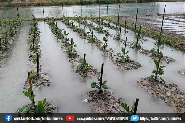 सोमवार को राज्य के कई जिले में भारी बारिश की संभावना