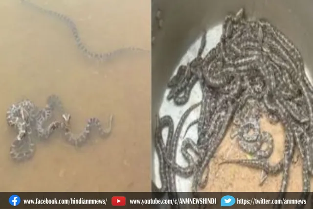 क्यों खुशी से झूम उठे फॉरेस्ट ऑफिसर्स