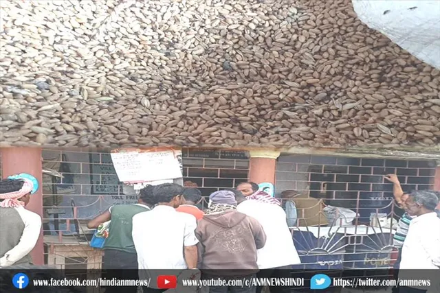 राज्य सरकार के राशन में मिला कीड़े वाला गेहुँ