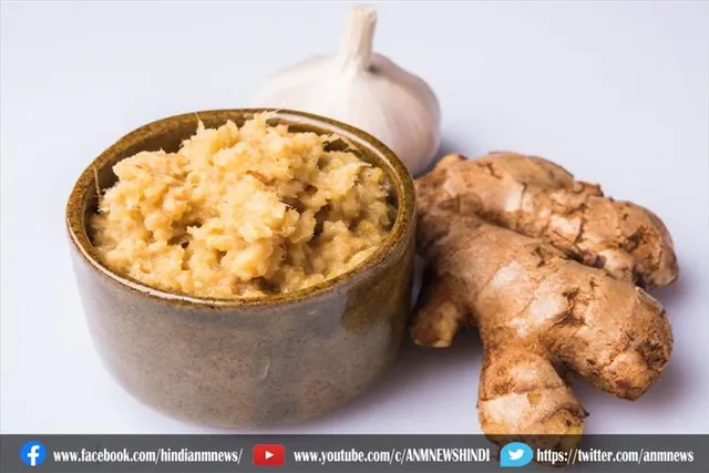 अदरक लहसुन पेस्ट को स्टोर करने के लिए फॉलो करें ये टिप्स