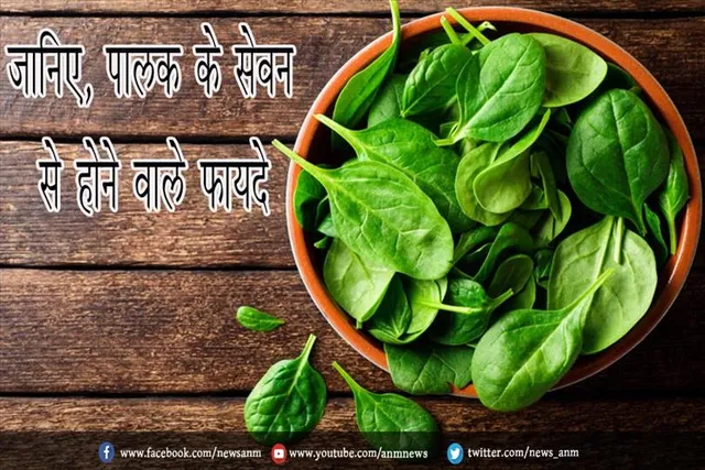 जानिए, पालक के सेवन से होने वाले फायदे