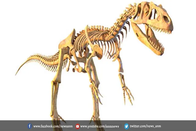 70 मिलियन वर्ष पहले डायनासोर कैंसर से संक्रमित हुए थे