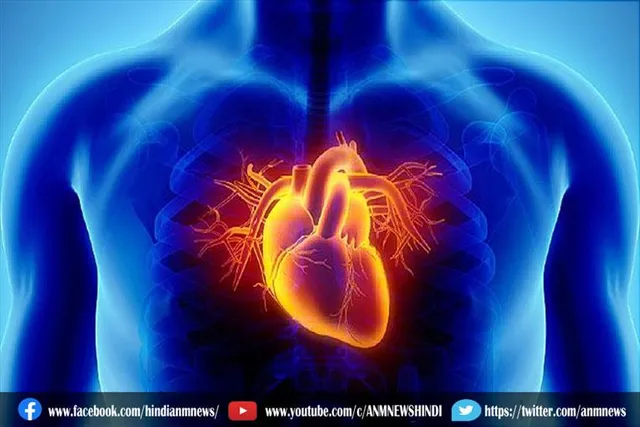 हार्ट ब्लॉकेज के कई कारण