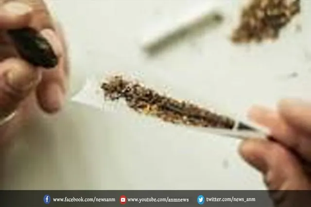 चरस की खेप के साथ 3 तस्कर गिरफ्तार