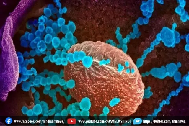 'ओमिक्रॉन' : देश में कुल संक्रमित 61 हुए