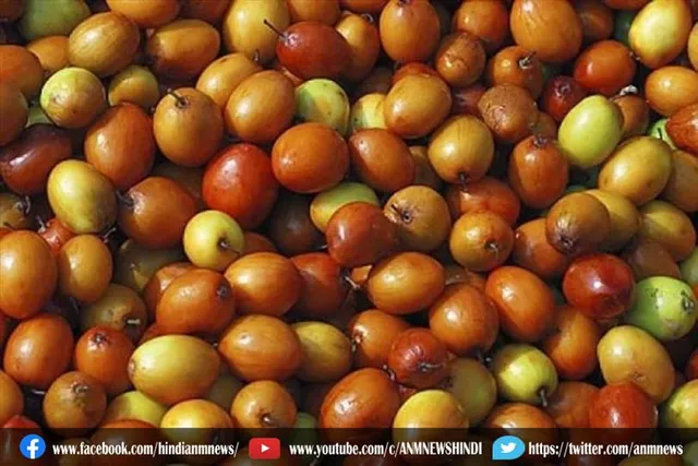 बेर का सेवन करने से दूर होगा कई परेशानिया